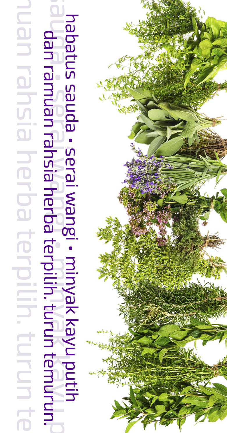 Logo-NurSyifa-Panjang-Ramuan